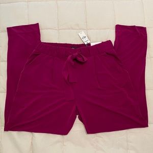 NWT Express paperbag trousers